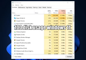 100 percent disk usage